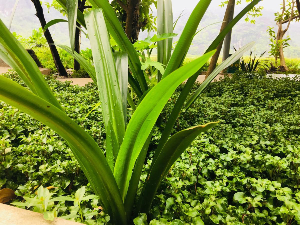 Trang An Nature House 닌빈 외부 사진
